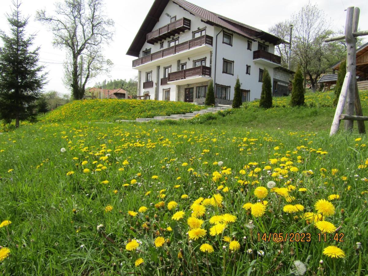 Ograda De La Munte Villa Bran  Ngoại thất bức ảnh